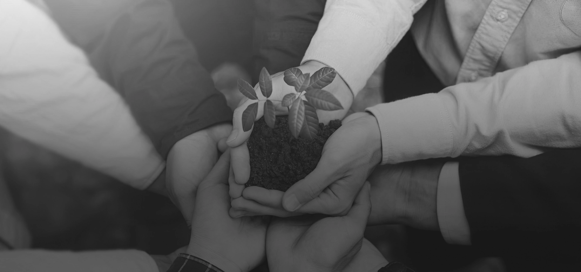 Building Sustainability for Businesses and Communities (การพัฒนาที่ยั่งยืน) background image